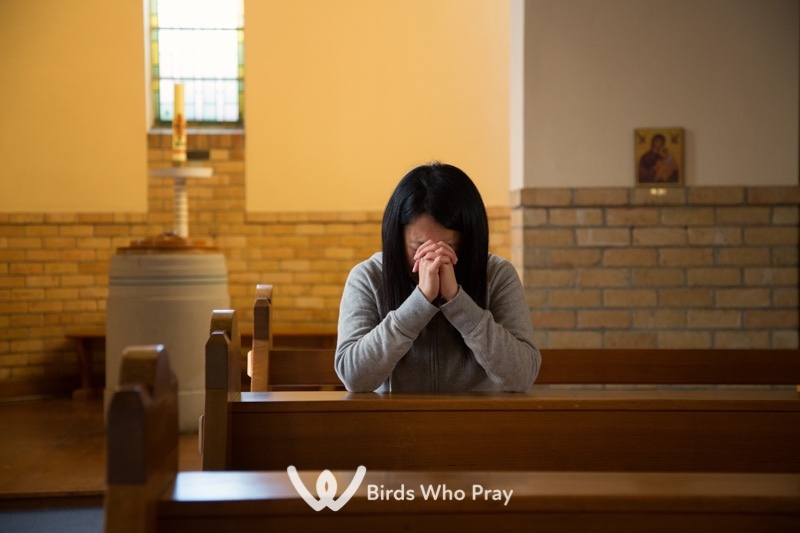  - Birds Who Pray