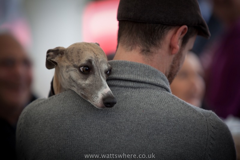 One man and his dog - People & Places