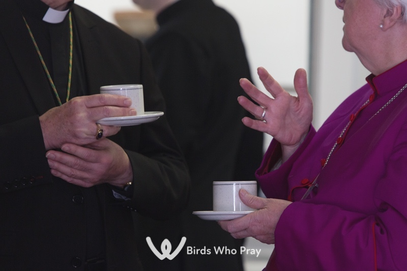  - Birds Who Pray