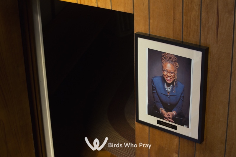  - Birds Who Pray