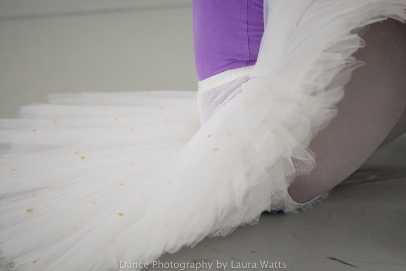 Colorado Ballet macro_041 - Colorado Ballet