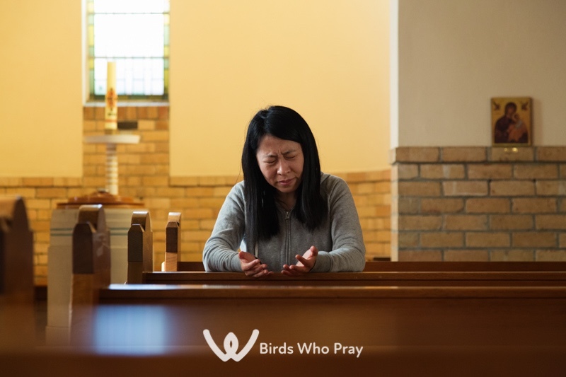  - Birds Who Pray