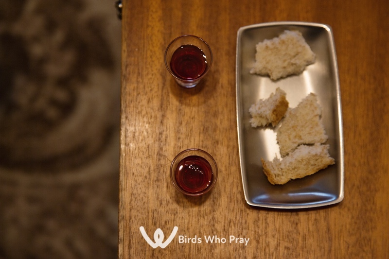  - Birds Who Pray