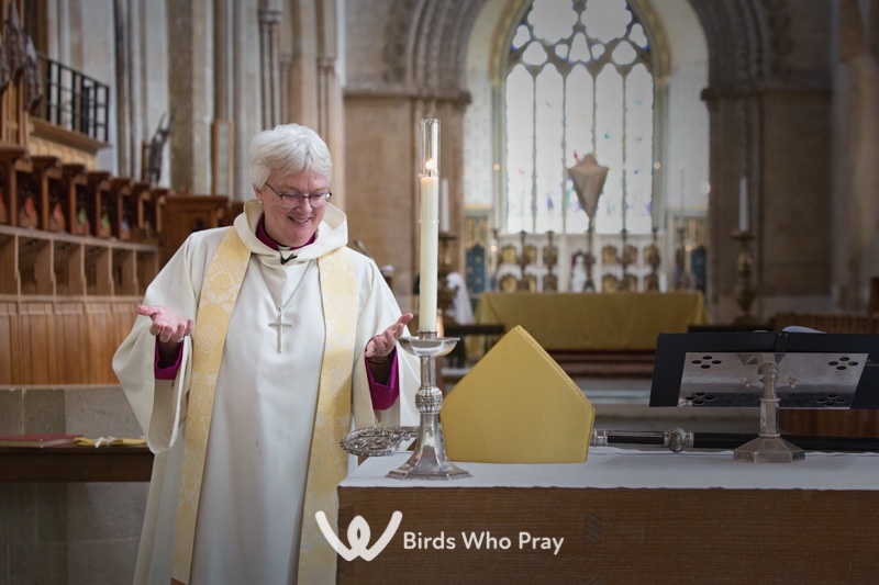  - Birds Who Pray