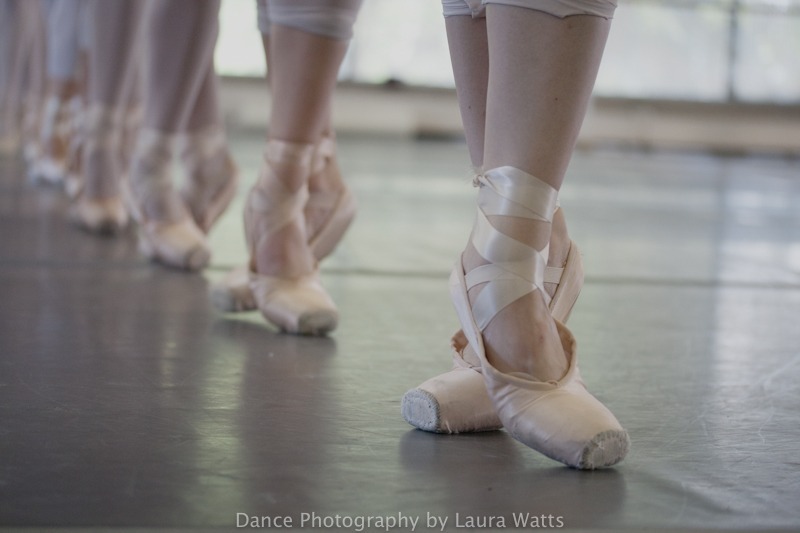 Colorado Ballet macro_094 - Colorado Ballet