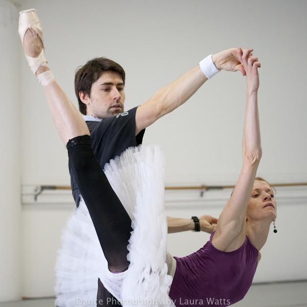 Colorado Ballet macro_146 - Colorado Ballet