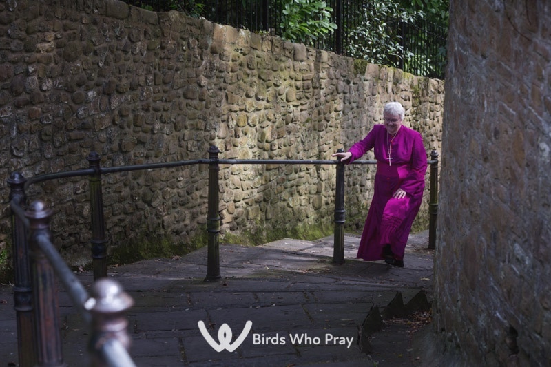  - Birds Who Pray