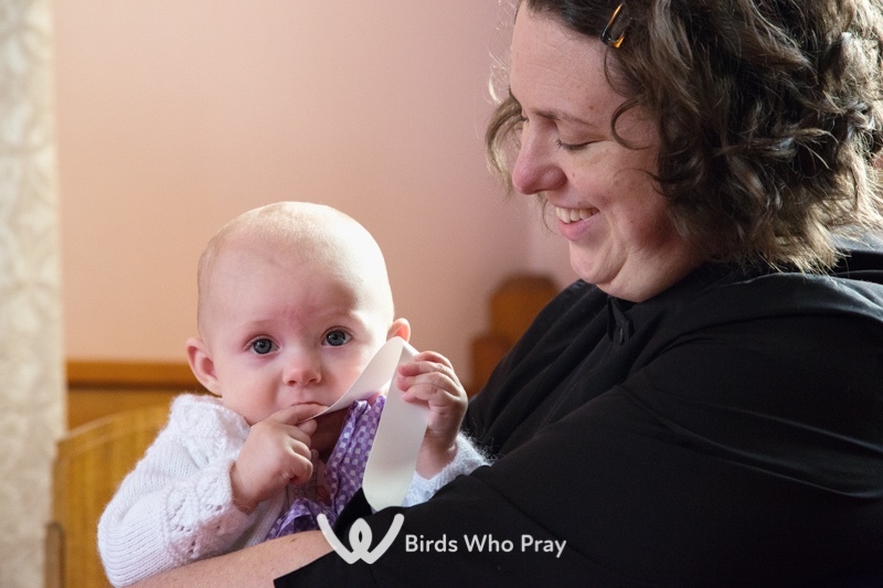 - Birds Who Pray