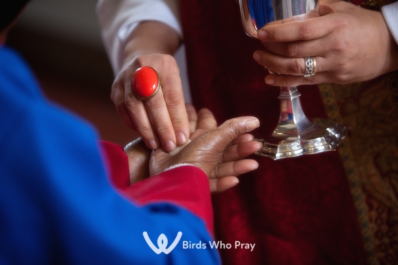  - Birds Who Pray