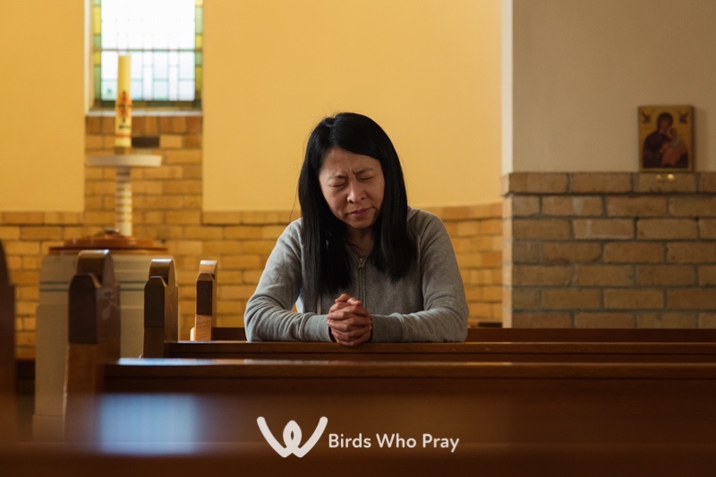  - Birds Who Pray