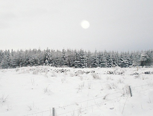  - Nature