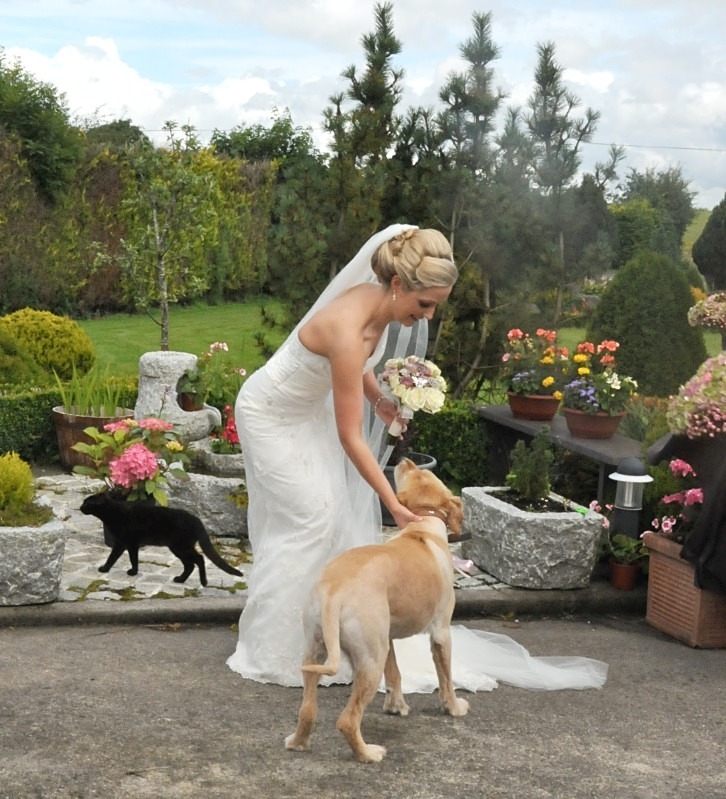  - Wedding