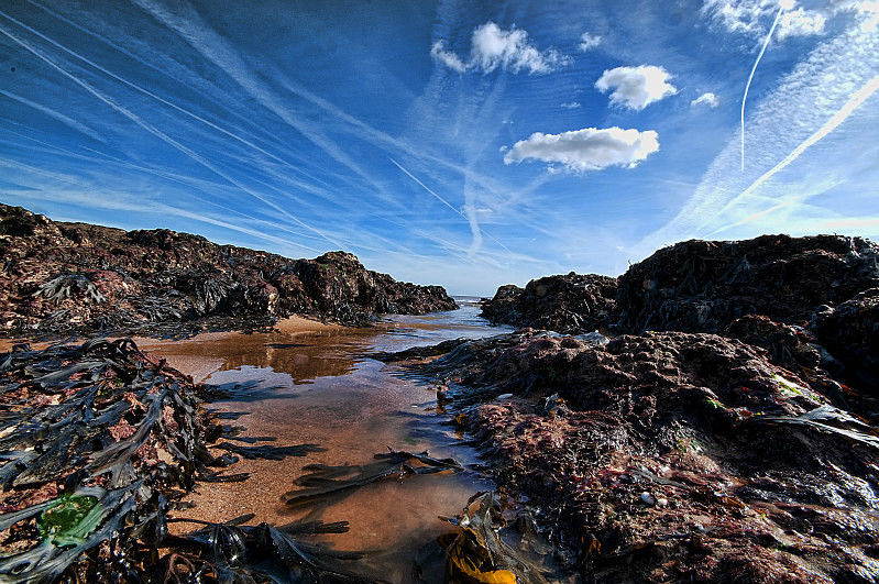  - Landscapes