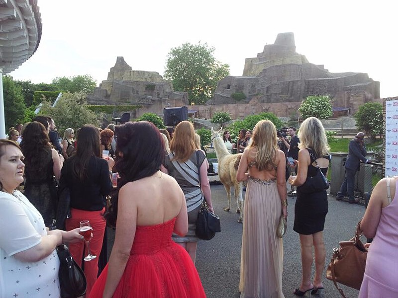  - OK! Wild Tigers & Tiaras Ball