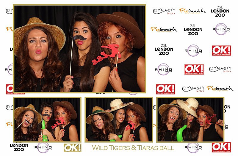  - OK! Wild Tigers & Tiaras Ball