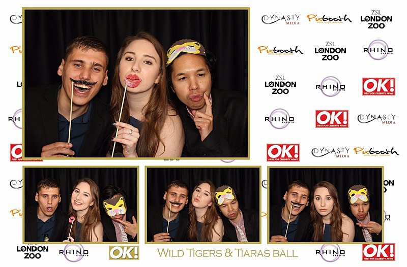  - OK! Wild Tigers & Tiaras Ball
