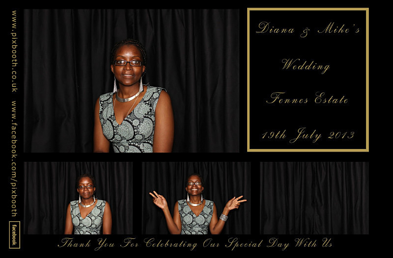 - Diana & Mike's Wedding