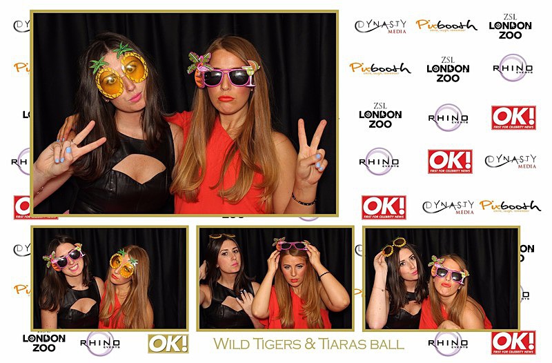  - OK! Wild Tigers & Tiaras Ball