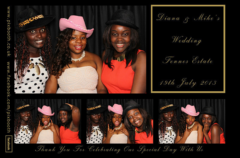  - Diana & Mike's Wedding