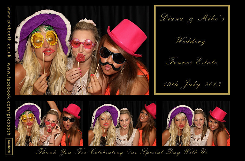  - Diana & Mike's Wedding
