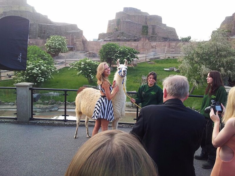  - OK! Wild Tigers & Tiaras Ball