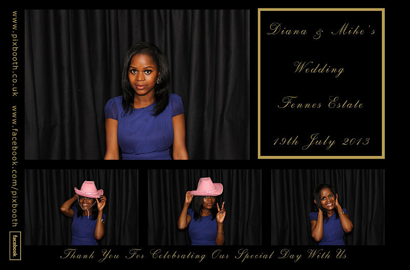  - Diana & Mike's Wedding