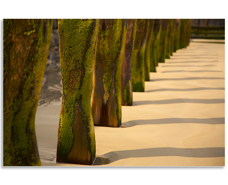 06061678 - Vazon Bay groynes - Guernsey Landscapes - Visions Gallery