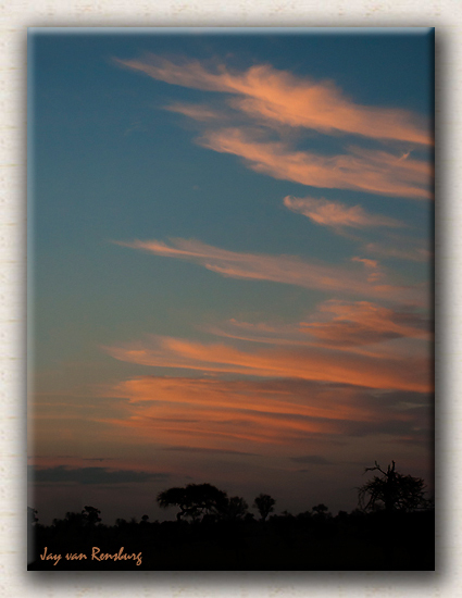 African Summer Sunset - African Sunset