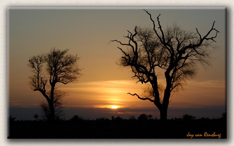 Kruger Park Sunset - African Sunset