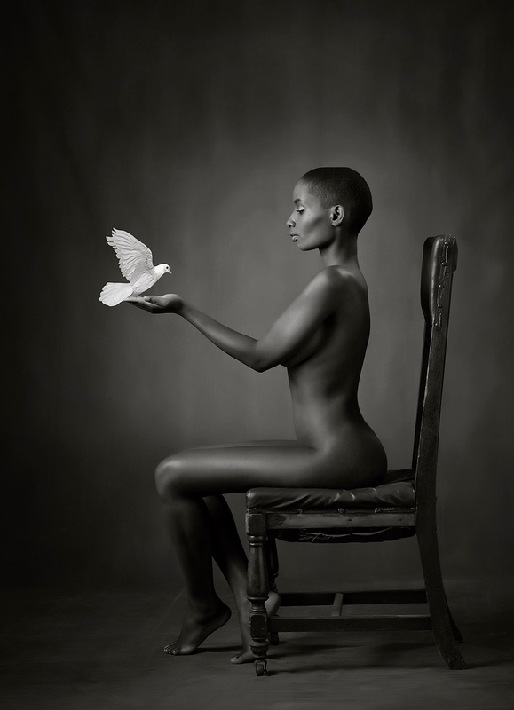 Ebony Dove - MONO