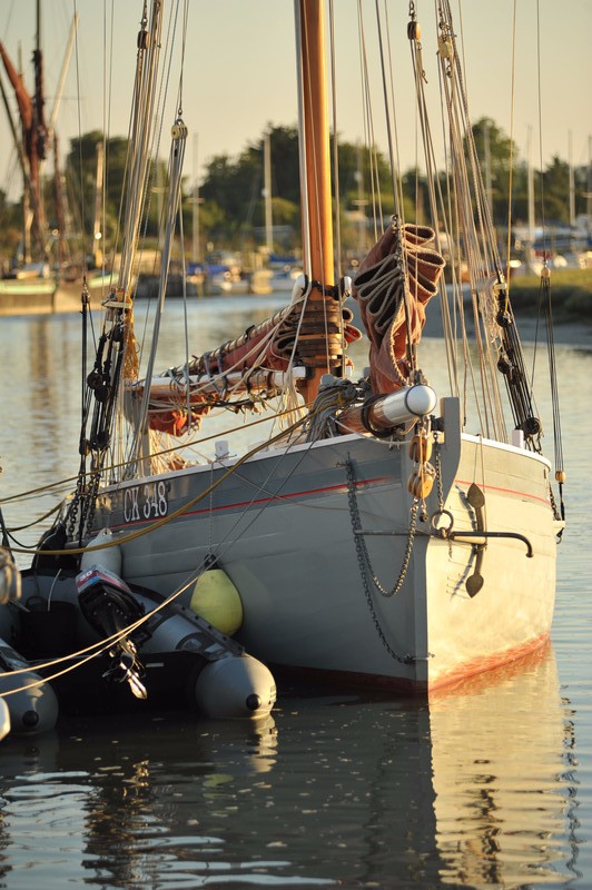  - Swale Match 2016 - Photographs by Seamus Masters