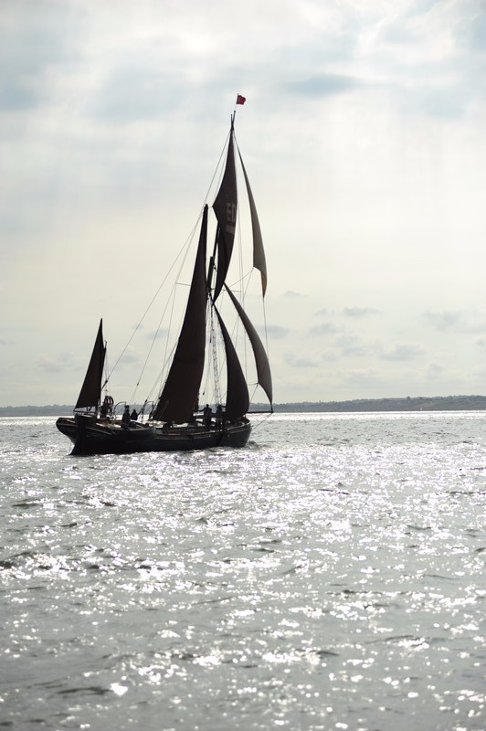  - Swale Match 2015 - Photographs by Seamus Masters