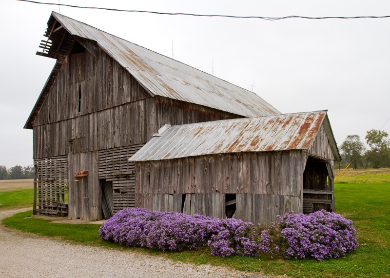 Man Made _0033 - Man Made