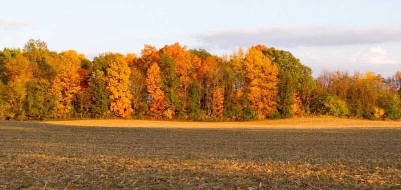 Landscape _0008 - Land and Cityscapes