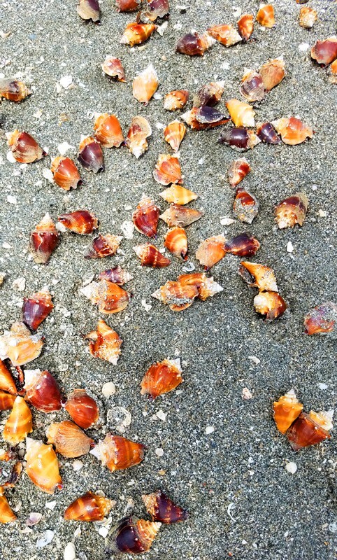 SunBeachWater  _0097 - Sun, Beach, Water