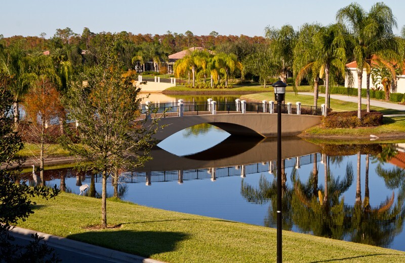 Landscape _0060 - Land and Cityscapes