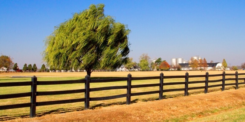 Landscape _0028  - Land and Cityscapes