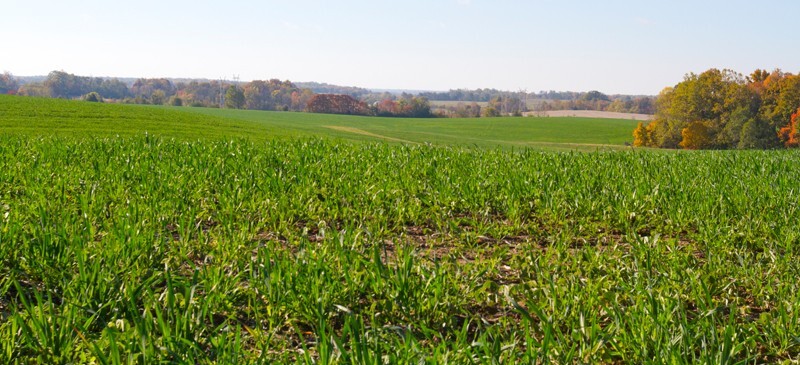 Landscape _0032 - Land and Cityscapes