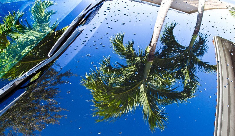 Random  _0039 - Random/Abstract