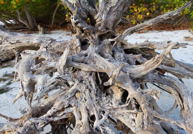 Landscape _0055 - Land and Cityscapes