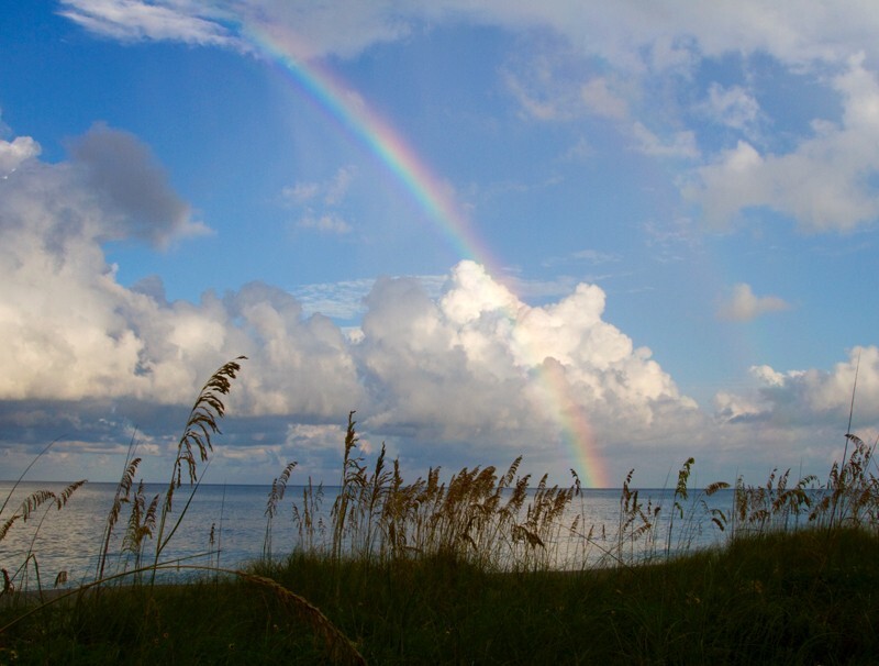 SunBeachWater  _0016 - Sun, Beach, Water