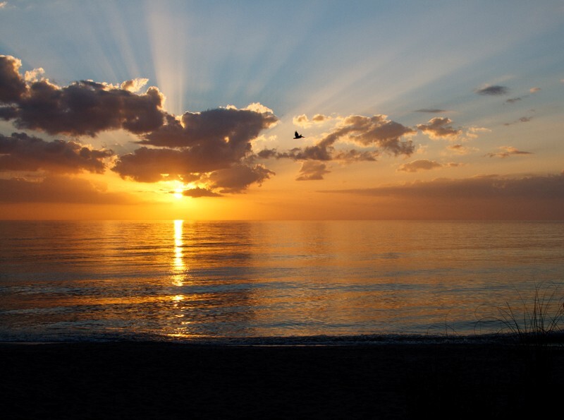 SunBeachWater  _0026 - Sun, Beach, Water