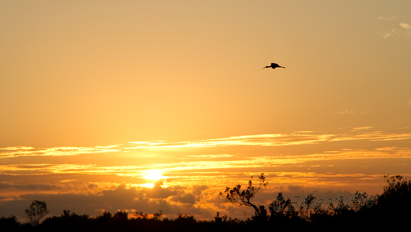 Sunrise Photo Everglades Florida