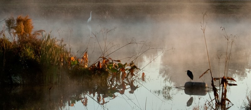 SunBeachWater  _0006_1 - Sun, Beach, Water