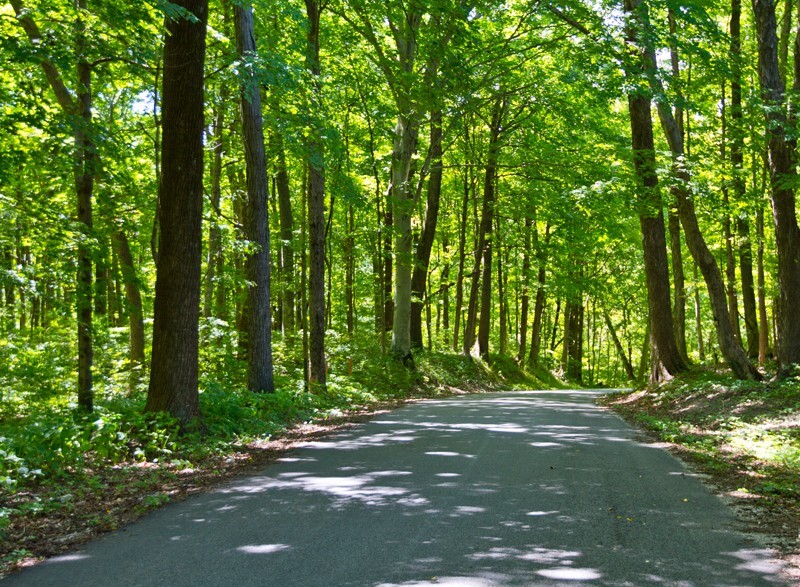 Landscape _0019 - Land and Cityscapes