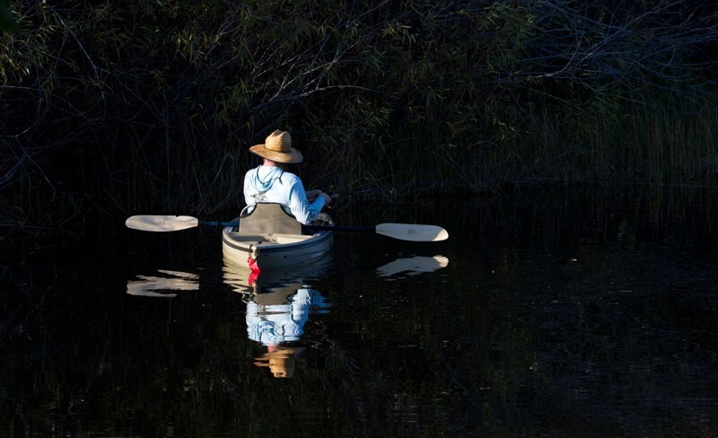 SunBeachWater  _0073 - Sun, Beach, Water