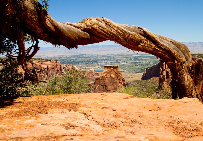 Landscape _0049 - Land and Cityscapes