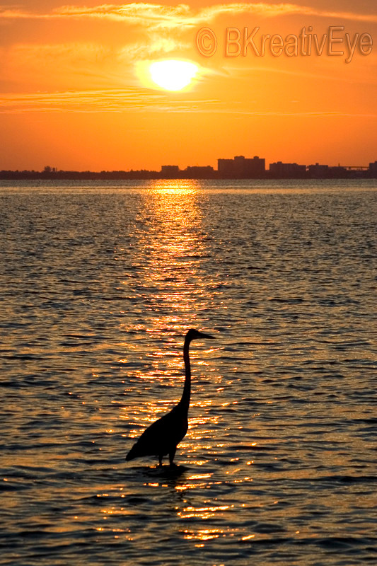 SunCldBchWatr050 - Sun, Beach, Water