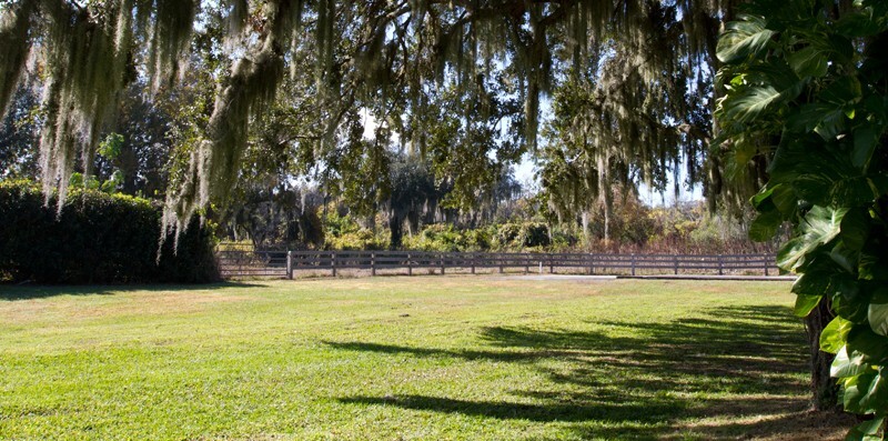 Landscape _0003 - Land and Cityscapes