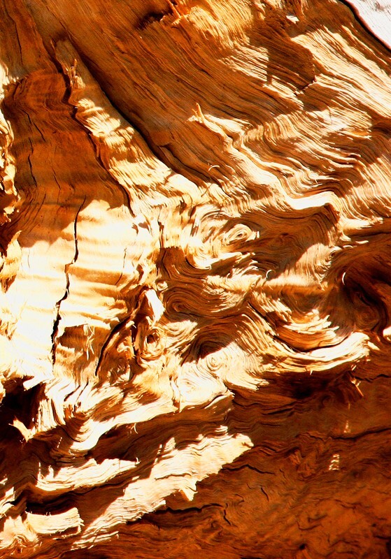 Random  _0026 - Random/Abstract